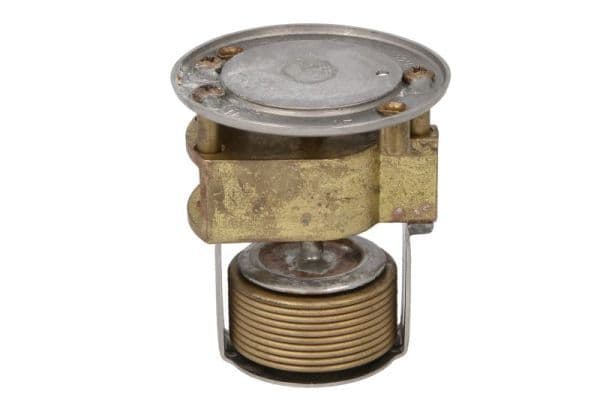 Thermostaat koelsysteem (74°C) past: STAR 700  BIZON Z 4CT107/6CT107-2/6CT107-R2 01.80-12.04