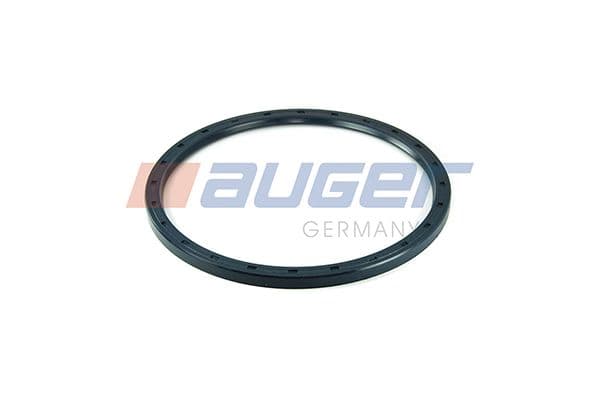 Seal Ring, steering knuckle (leaf spring hanger)