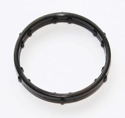 Gasket, coolant flange
