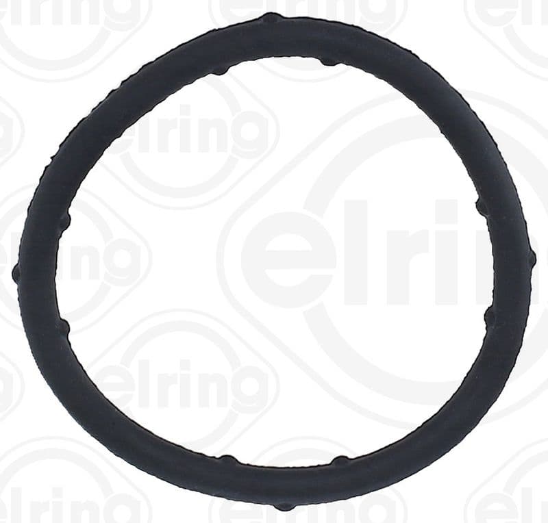 Gasket, coolant flange