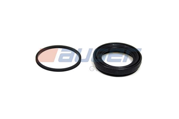 Disc brake caliper repair kit