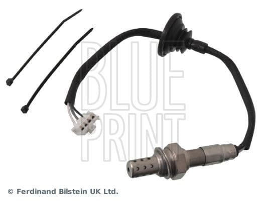 Oxygen Sensor