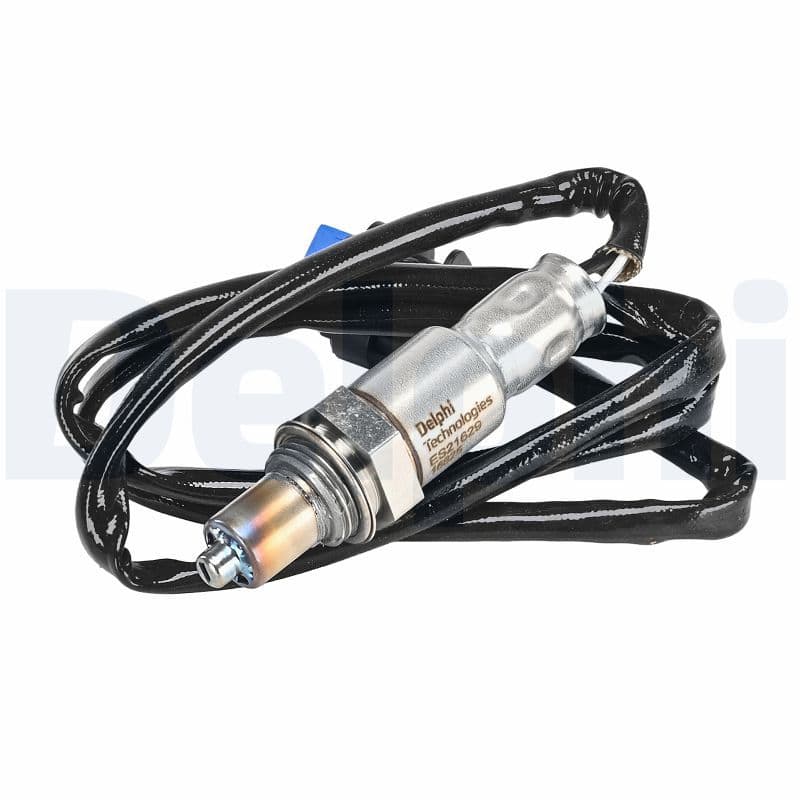 Oxygen Sensor