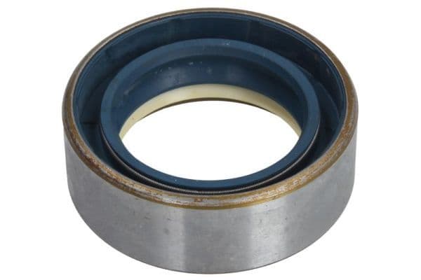 Shaft Seal, differential