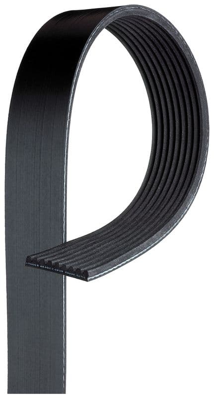 Multi-V-riem (9PK1865)