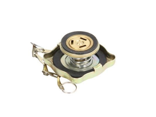 Radiator vuldop (0,7bar) met ketting past: MERCEDES LP, NG, SK OM314.910-OM446.933 09.63-09.96