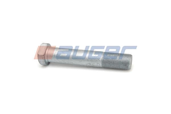 Wheel bolt