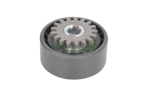 Meervoudige V-snaar spanrol past: DACIA LOGAN, LOGAN II, LOGAN MCV II, SANDERO, SANDERO II  NISSAN KUBISTAR  RENAULT CLIO I, CLIO II, CLIO III, CLIO IV, KANGOO, KANGOO EXPRESS 0.9LPG-2.0 01.96-