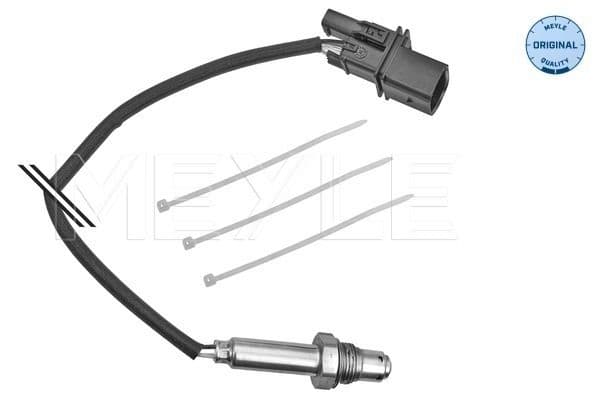 Oxygen Sensor