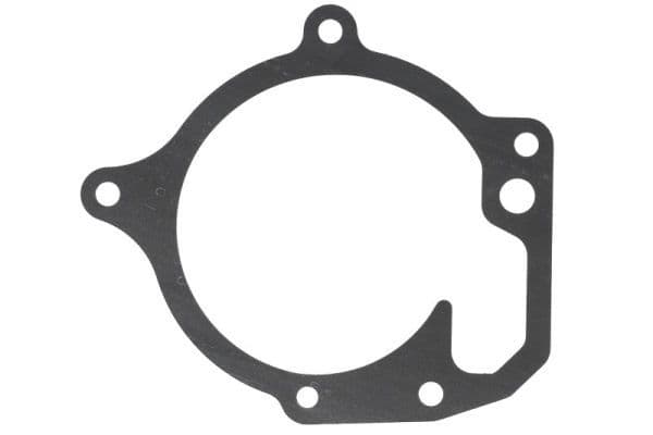 Water pump gasket
