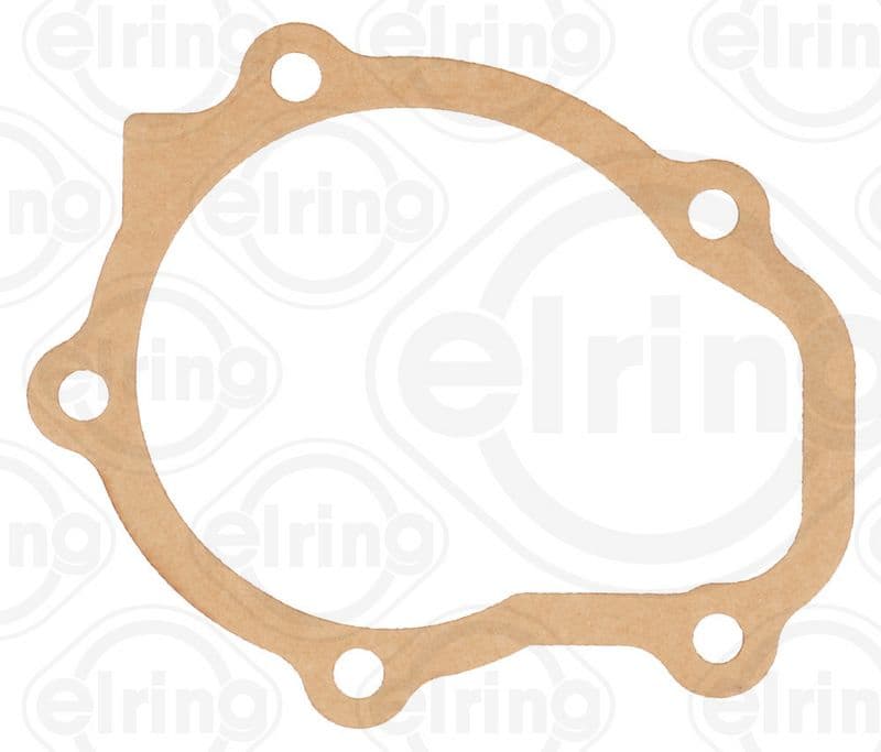 Water pump gasket