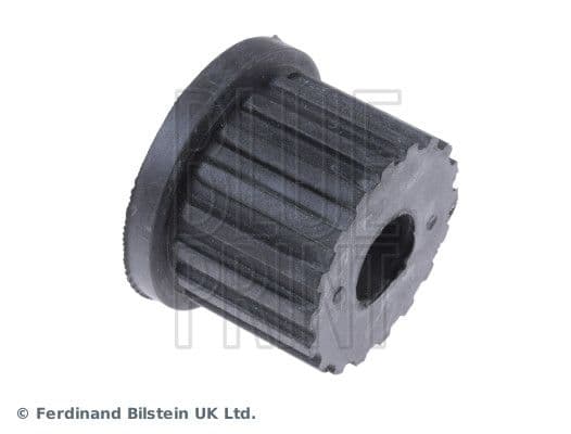 Bushing, leaf spring