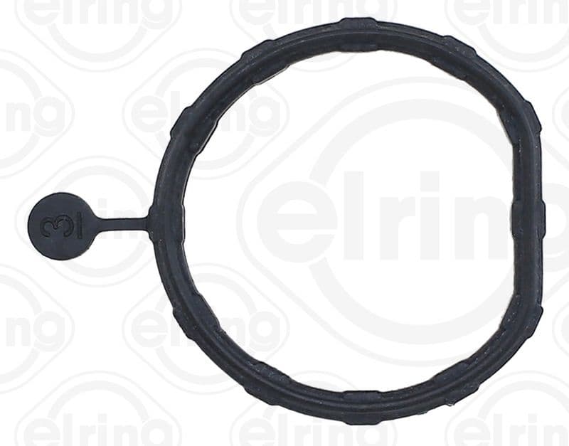 Gasket, coolant flange