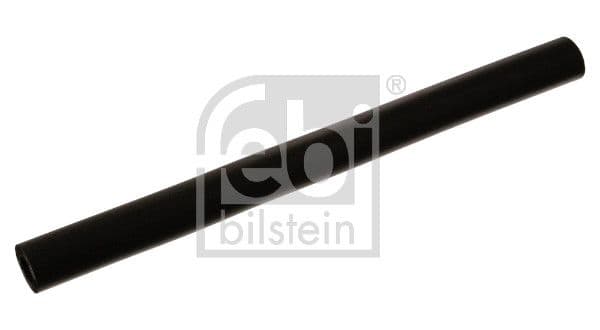 Hose, crankcase ventilation