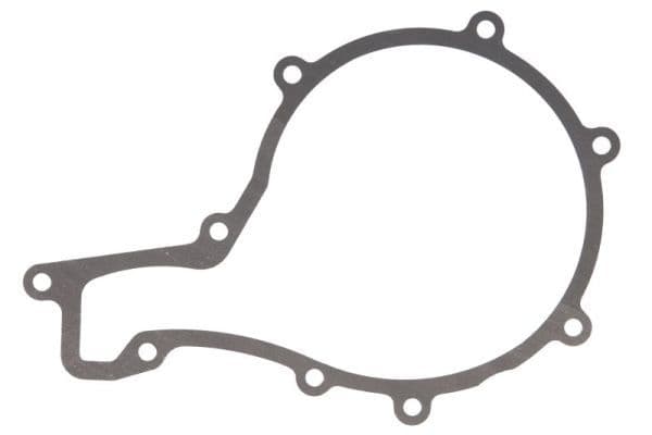 Water pump gasket