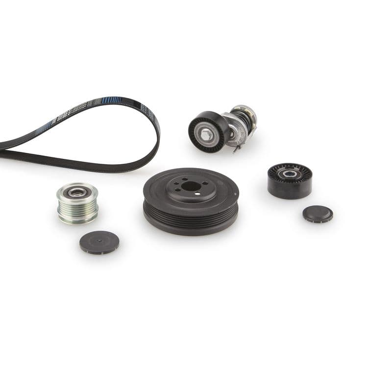 Multi-V-riem (6PK1613)