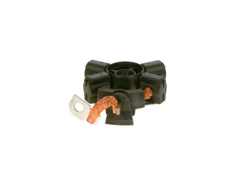 Holder, carbon brushes