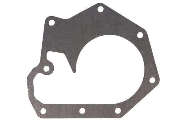Water pump gasket