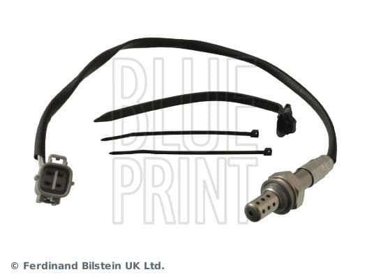 Oxygen Sensor