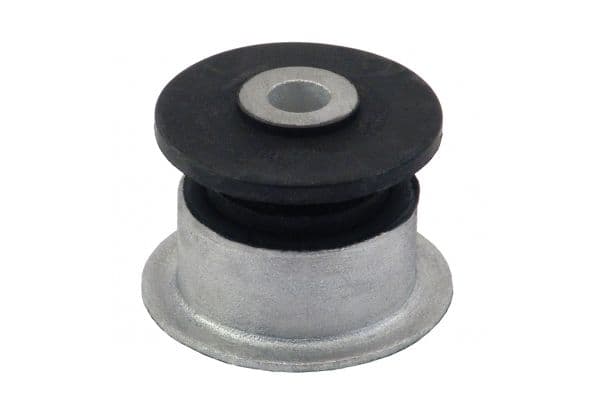 Mounting, leaf spring