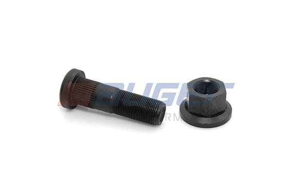 Wheel bolt