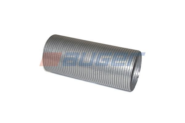Exhaust pipe