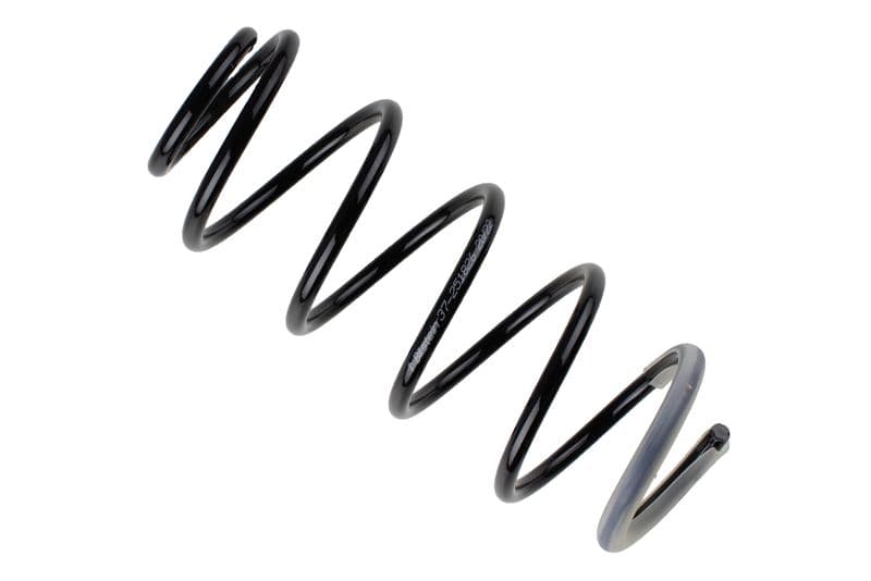 Coil spring