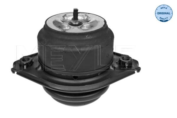 Motorsteun Voor Links/Rechts, hydraulisch past: MERCEDES GL (X164), M (W164) 3.0-5.5 02.05-12.12