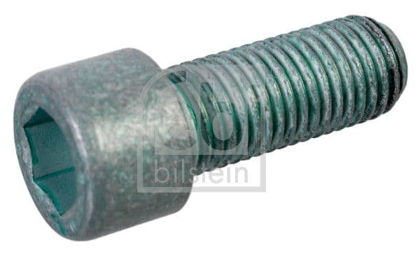 Pulley Bolt