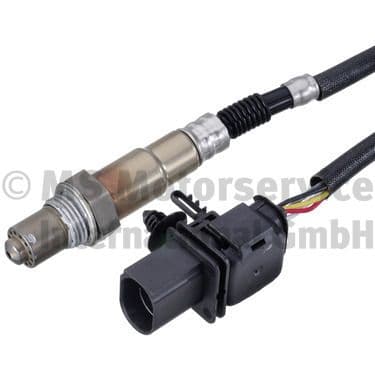 Oxygen Sensor