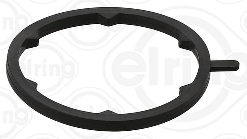 Water pump gasket