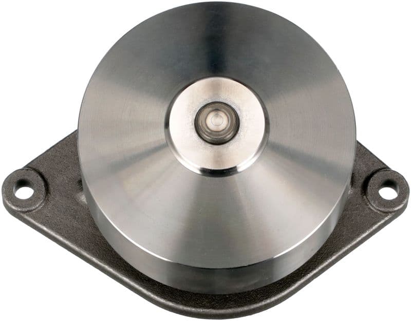 Waterpomp (met katrol) past: IVECO EUROCARGO IV, EUROCARGO V F4AFE411A-F4AFE411F 11.13-