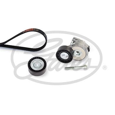 Multi-V-riem (6PK1368)