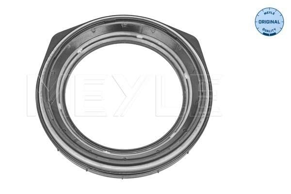 Rolling Bearing, suspension strut support mount