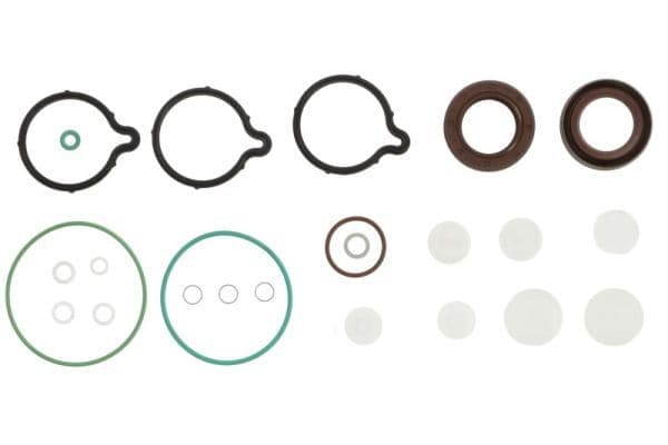 CP1-H3 pomp pakkingset (met extra afdichting 20x31x7mm, BOSCH) past: IVECO