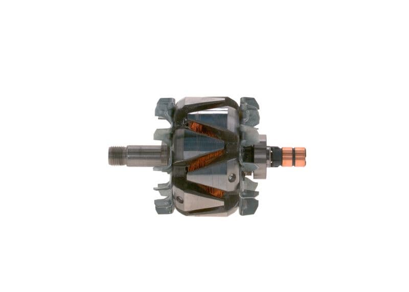 Alternator rotor