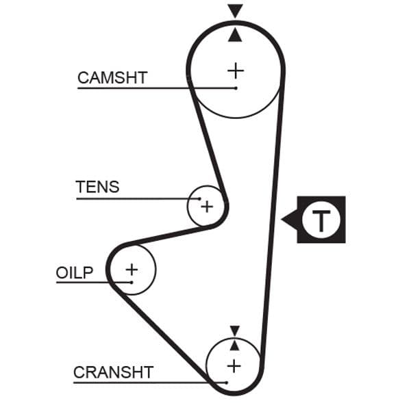 Timing belt
