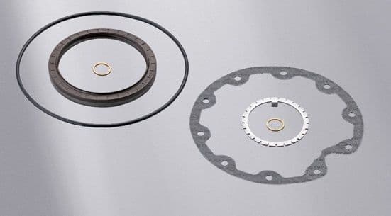 Shaft Seal, wheel hub