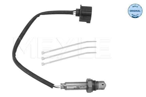 Oxygen Sensor