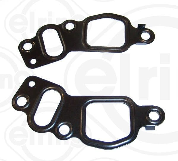 Gasket, timing case