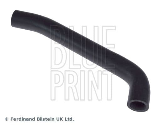 Hose, crankcase ventilation