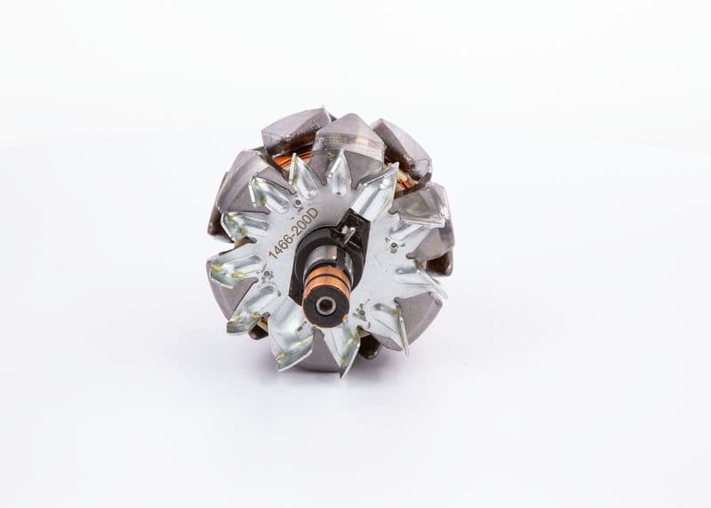Alternator rotor