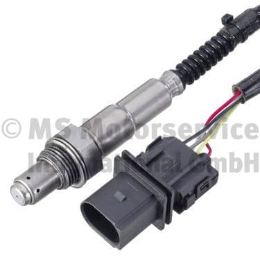 Oxygen Sensor