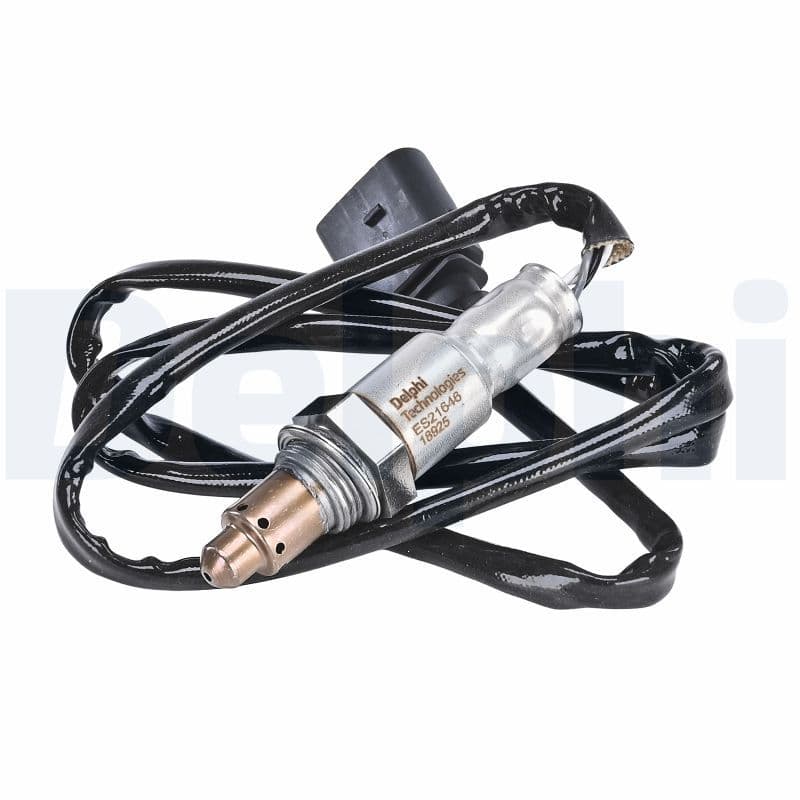 Oxygen Sensor