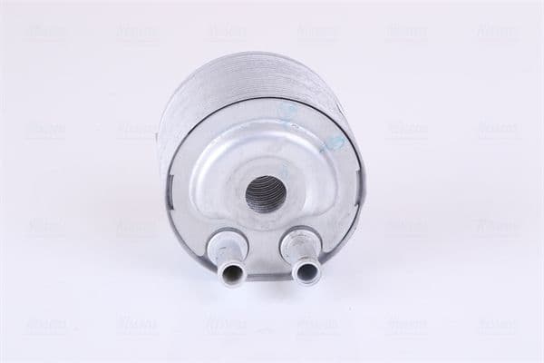 Strangler past: NISSAN ALMERA II, ALMERA TINO, PRIMERA 1.5/1.6/1.8 01.00-10.08