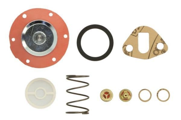 Brandstofpomp reparatieset past: DAVID BROWN 1190, 1194, 1200, 1210, 1212, 1290, 1294, 1390, 1394, 1410, 1412, 1490, 1494, 1594, 1690, 1694, 770, 780, 880, 885, 990, 995, 996  HYSTER H60C, S60B