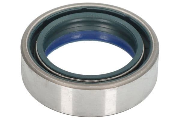 Gasket, differential