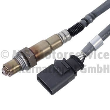 Oxygen Sensor