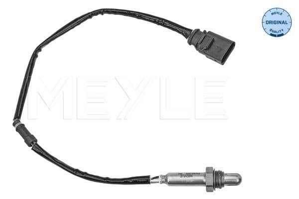Oxygen Sensor