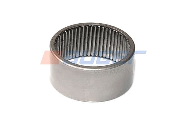 Fuseelager (naald) past: DAF